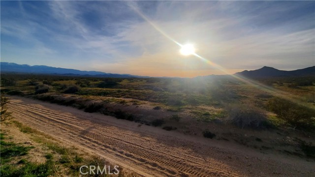 Front Image Thumbnail for CRSR26036587