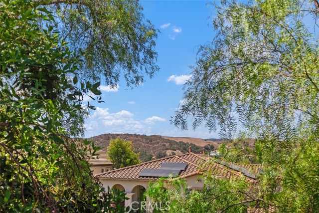 1 Roberts Drive, Coto de Caza CA: https://media.crmls.org/medias/e5013912-5f93-4d14-b0a7-17c0cfab6d25.jpg