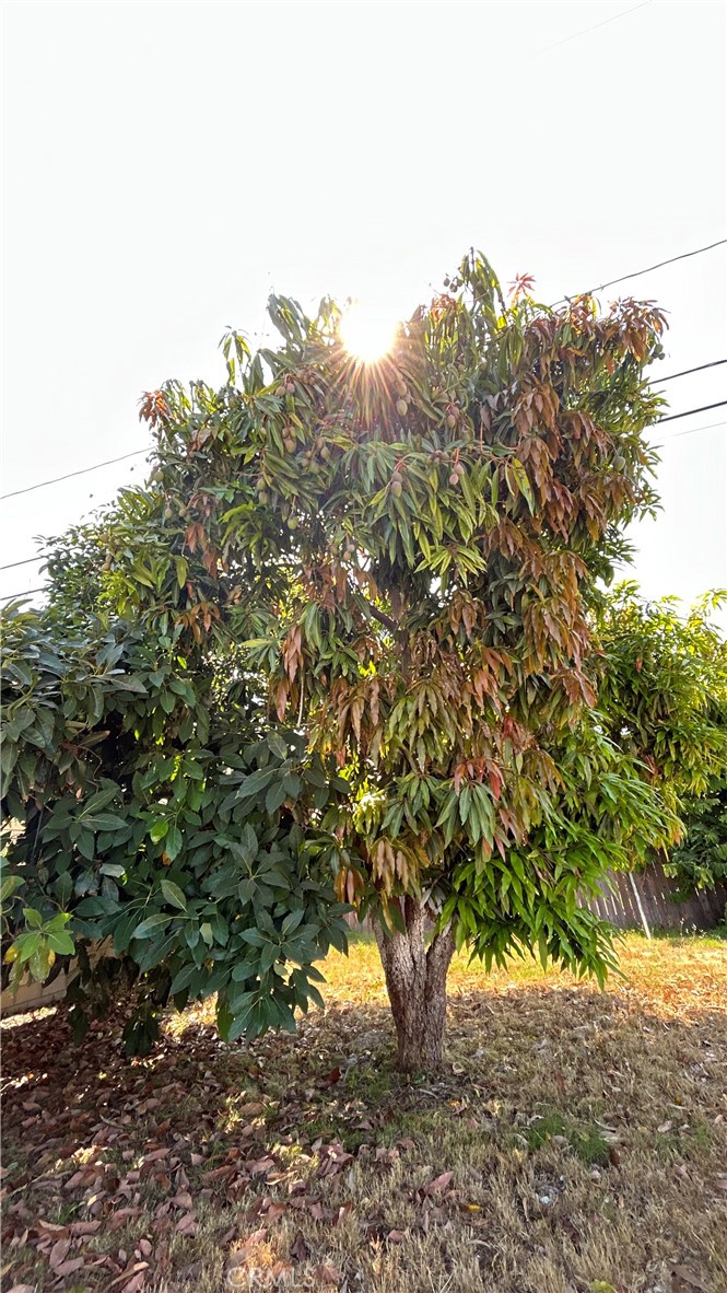 https://media.crmls.org/medias/e5068b30-2303-4f2b-acff-443bdc0ceba1.jpg?preset=X-Large
