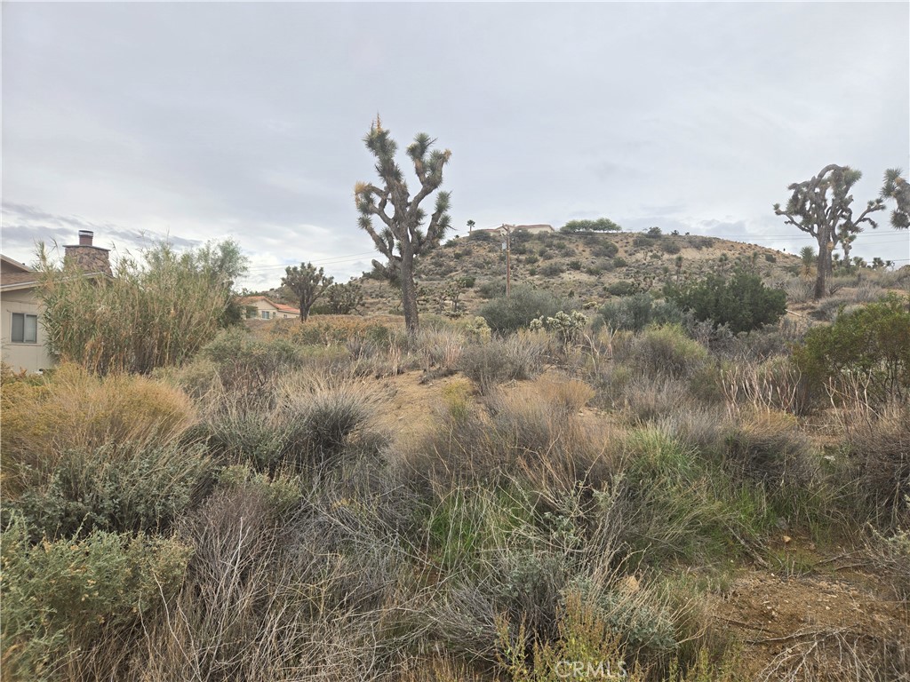 MLS #JT25260776 image #2