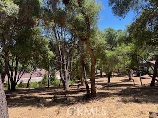 7878 Soda Bay Road, Kelseyville CA: https://media.crmls.org/medias/e5117d00-d1c9-4d66-a374-f6399a959c00.jpg