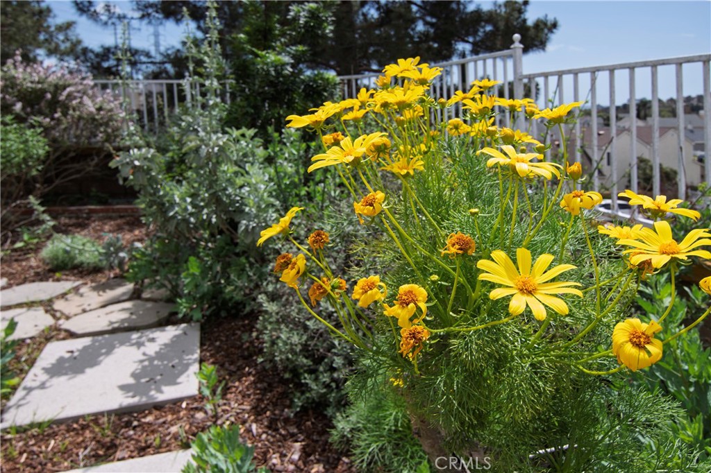 E511812b 7cee 49bb B6d2 7f0bb819096c