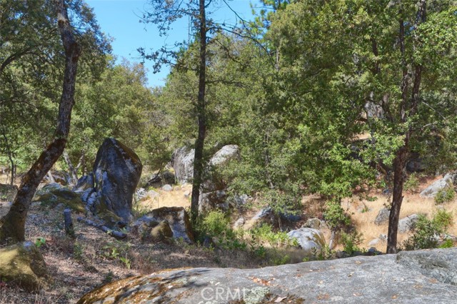 Detail Gallery Image 43 of 49 For 3318 Triangle Rd, Mariposa,  CA 95338 - 3 Beds | 2 Baths