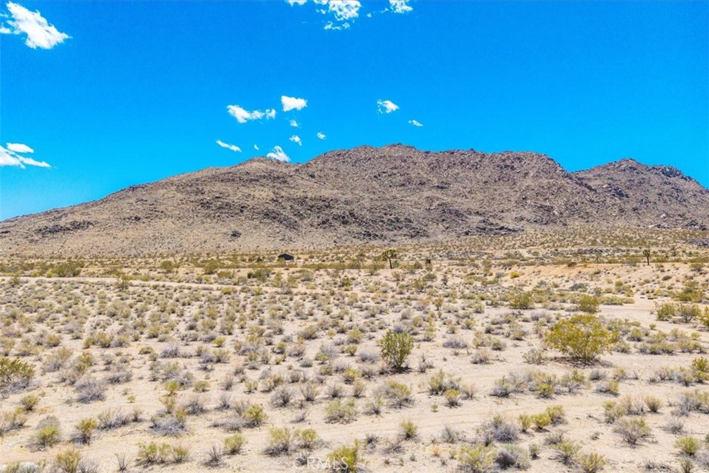 MLS #JT25107809 image #3