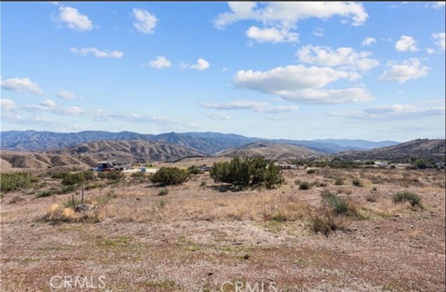  Land for Sale in Agua Dulce, California