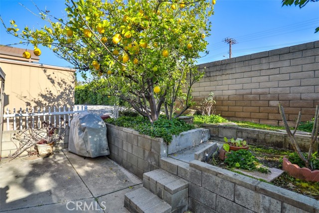 Detail Gallery Image 24 of 26 For 1245 W Cienega Ave #194,  San Dimas,  CA 91773 - 3 Beds | 2 Baths