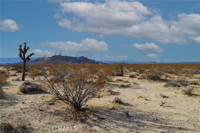 Detail Gallery Image 9 of 10 For 6130 La Brisa Dr, Joshua Tree,  CA 92252 - – Beds | – Baths