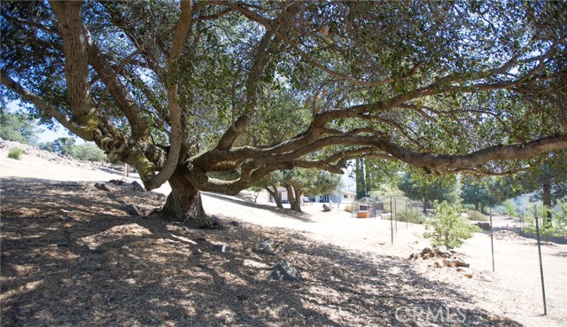 Detail Gallery Image 62 of 75 For 12145 Twin Springs Rd, Descanso,  CA 91916 - 4 Beds | 2 Baths