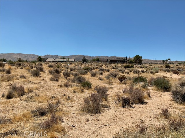 Detail Gallery Image 4 of 11 For 7 Ocotillo Way, Apple Valley,  CA 92308 - – Beds | – Baths