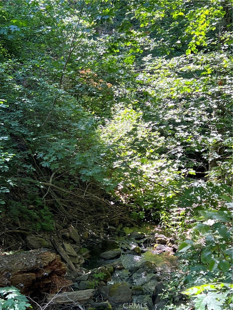 https://media.crmls.org/medias/e5339fd9-bfdc-45b8-8ed1-8db72cc10baa.jpg?preset=X-Large