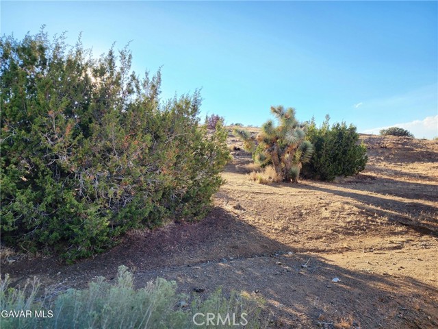 Detail Gallery Image 2 of 2 For 75 W Avenue D-12, Antelope Acres,  CA 93536 - – Beds | – Baths