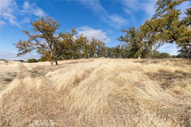 Detail Gallery Image 12 of 29 For 17333 Wagon Wheel Road, Corning,  CA 96021 - – Beds | – Baths