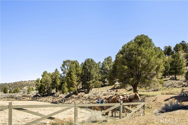 Detail Gallery Image 33 of 39 For 2000 Baldwin Lake Rd, Big Bear City,  CA 92314 - 4 Beds | 2 Baths