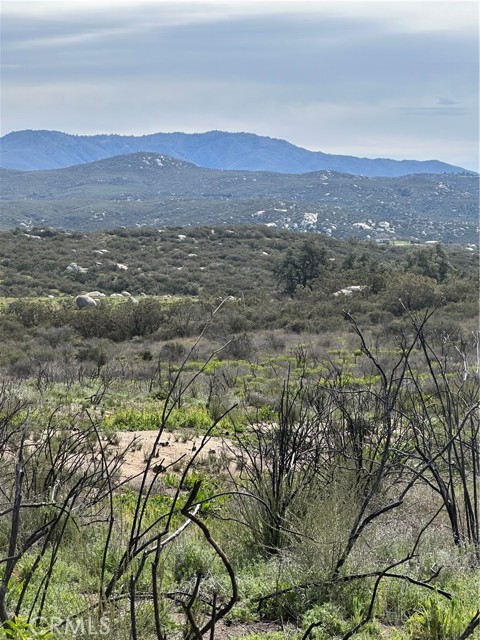 56 Taffel Ranch Road, Hemet, California 92544, ,Land,For Sale,56 Taffel Ranch Road,CRSW24049974