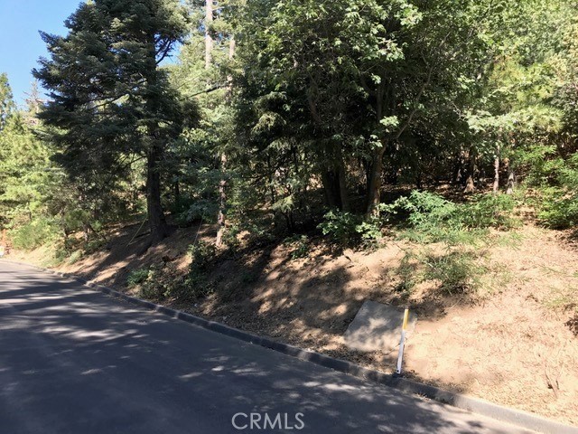 0 Mountain Home Creek Road, Angelus Oaks, CA 92305
