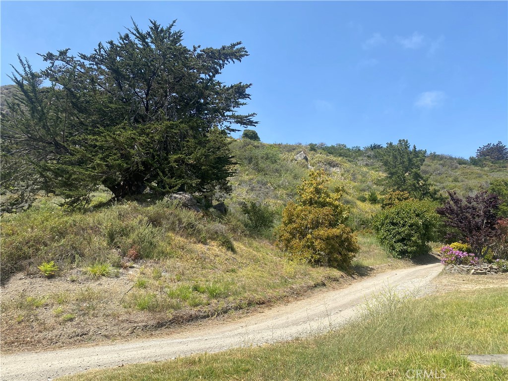 MLS #SC25234598 image #14