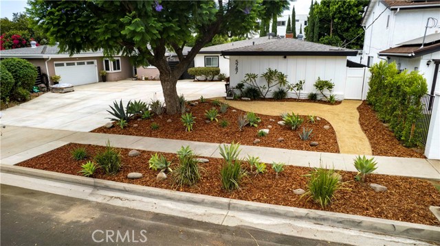 Front Image Thumbnail for CRSR26177646