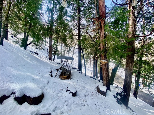Detail Gallery Image 40 of 54 For 24834 Edelweiss Dr, Crestline,  CA 92325 - 2 Beds | 2 Baths