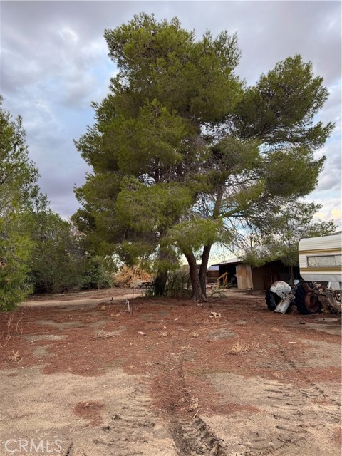 Detail Gallery Image 8 of 20 For 32757 Dune Dr, Newberry Springs,  CA 92365 - 3 Beds | 1 Baths