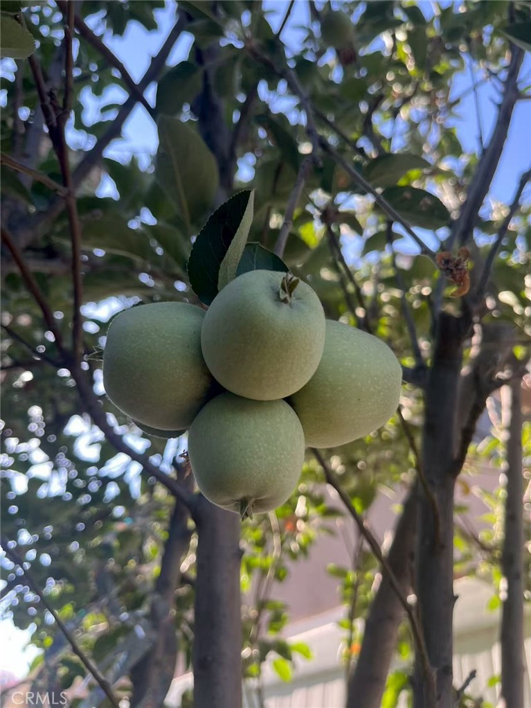 MLS #WS25271554 image #21