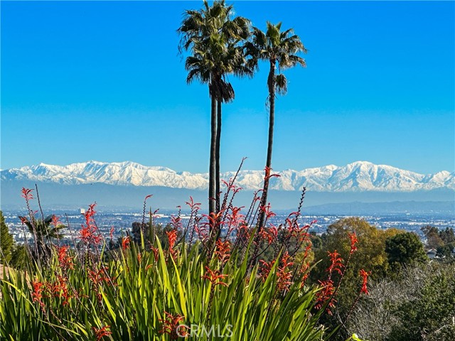 View of the Los Angeles City Lights, downtown and snow covered mountains. Enjoy sunrises and sunsets all throughout the year.