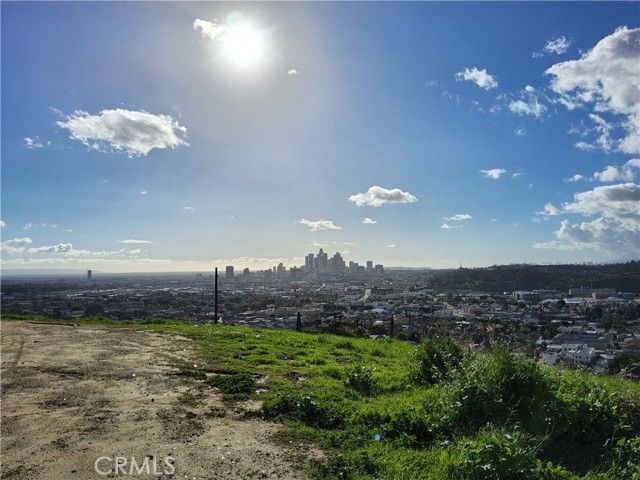 2931 Thomas Street, Los Angeles, California 90031, ,Land,For Sale,2931 Thomas Street,CRPW24023934