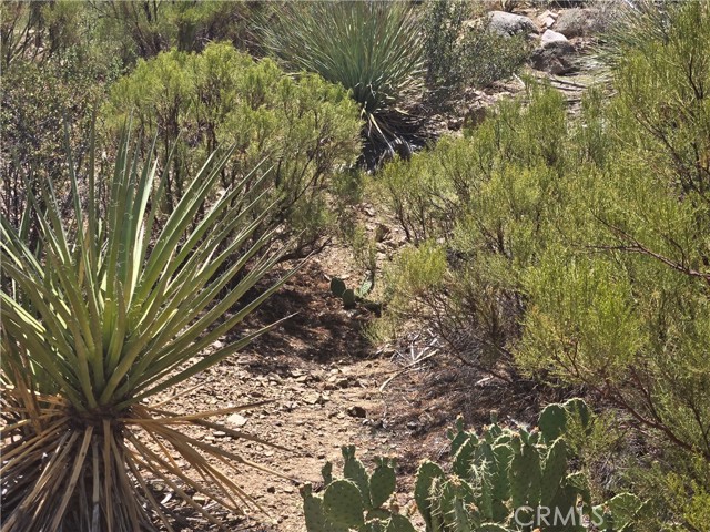 Detail Gallery Image 56 of 59 For 68080 Glacier Pass, Mountain Center,  CA 92561 - 1 Beds | 1 Baths