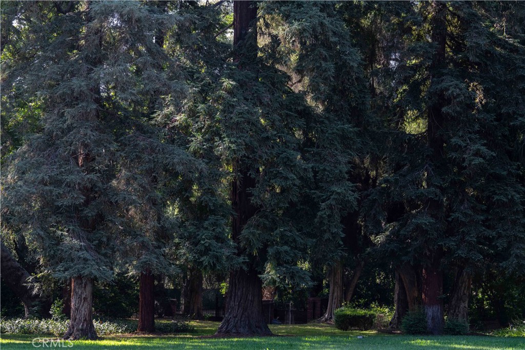 https://media.crmls.org/medias/e5687d9c-2418-4e5c-9e21-4099bc1e6ec4.jpg?preset=X-Large