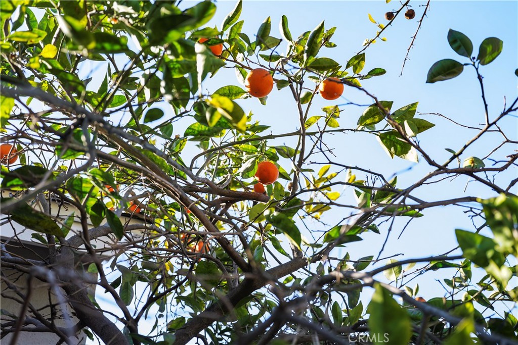 https://media.crmls.org/medias/e5730c64-7e1e-4785-be85-6b27321fbb30.jpg?preset=X-Large