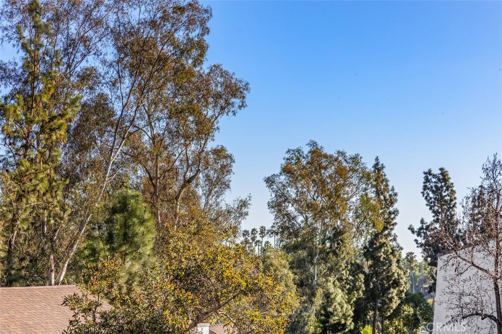 https://media.crmls.org/medias/e578096d-987b-4844-95f1-15672ab8c2c5.jpg?preset=X-Large