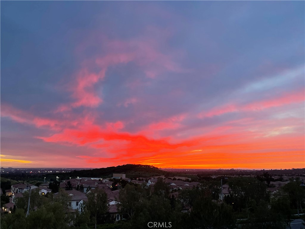 MLS #PW25263085 image #58