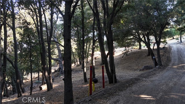 Detail Gallery Image 3 of 13 For 722 Mojave River Rd, Cedarpines Park,  CA 92322 - – Beds | – Baths