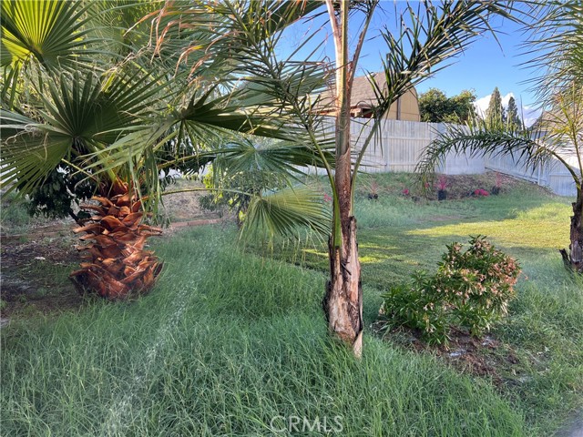 Detail Gallery Image 53 of 54 For 2456 Dr S Woodlark, Ontario,  CA 91761 - 5 Beds | 3 Baths