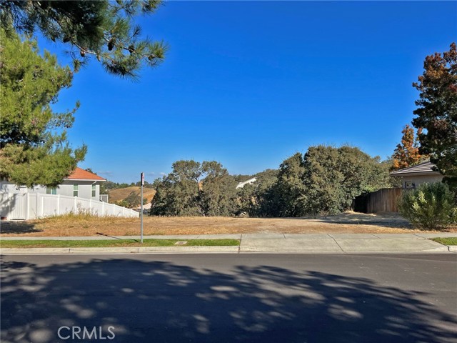 Detail Gallery Image 1 of 1 For 509 Grand Canyon Dr, Paso Robles,  CA 93446 - – Beds | – Baths