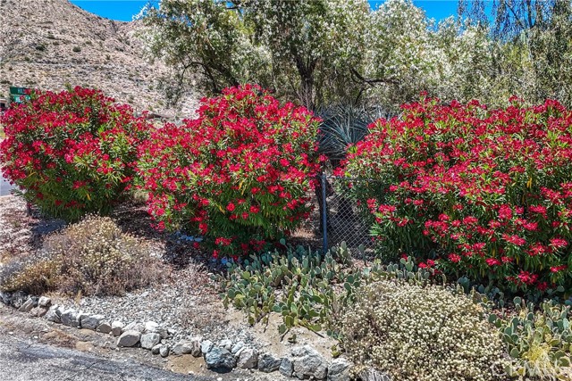 Detail Gallery Image 55 of 61 For 48910 Hibiscus Dr, Morongo Valley,  CA 92256 - 3 Beds | 3 Baths