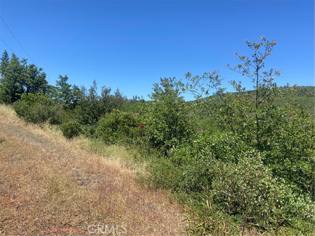 Detail Gallery Image 6 of 7 For 3510 Stone Mountain Rd, Oroville,  CA 95965 - – Beds | – Baths