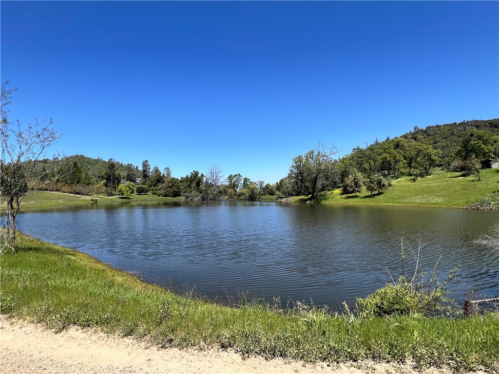MLS #MP24086965 image #9