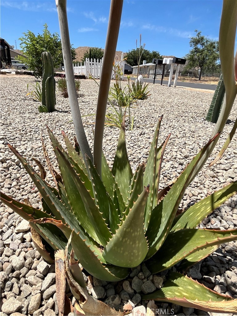 https://media.crmls.org/medias/e58367bb-af66-4abd-8762-e6c9ddd47c8d.jpg?preset=X-Large