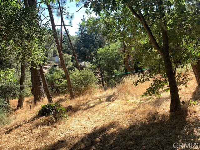 Image 2 for 1291 Canyon Dr, Julian, CA 92036