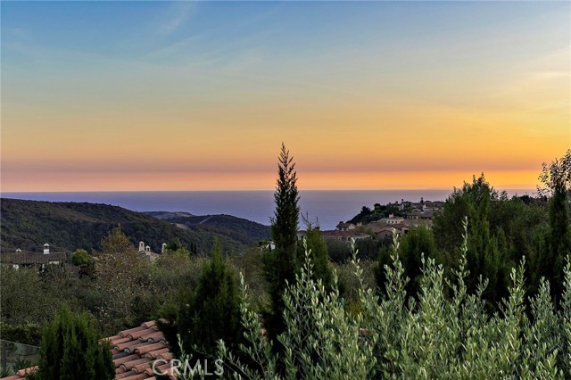 Detail Gallery Image 2 of 59 For 6 Canyon Peak, Newport Coast,  CA 92657 - 4 Beds | 3/1 Baths