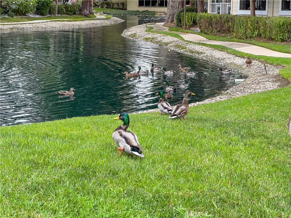 MLS #PW25237850 image #44