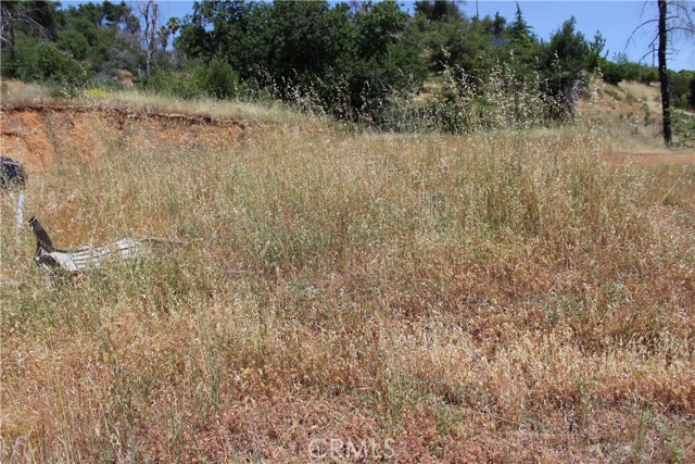 Detail Gallery Image 14 of 45 For 10255 Carrousel Dr, Redding,  CA 96001 - – Beds | – Baths