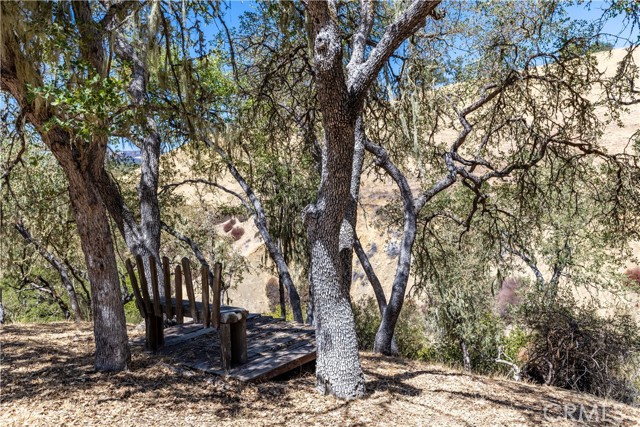 4250 Skylink Lane, Paso Robles CA: https://media.crmls.org/medias/e58cf069-f768-4280-aa43-9bbeed77fb27.jpg