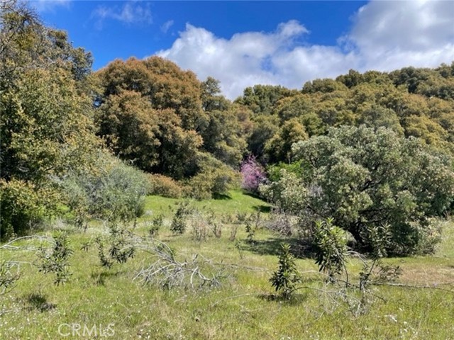 Detail Gallery Image 5 of 14 For 0 77.73 Ac Two Hills Rd, North Fork,  CA 93643 - – Beds | – Baths