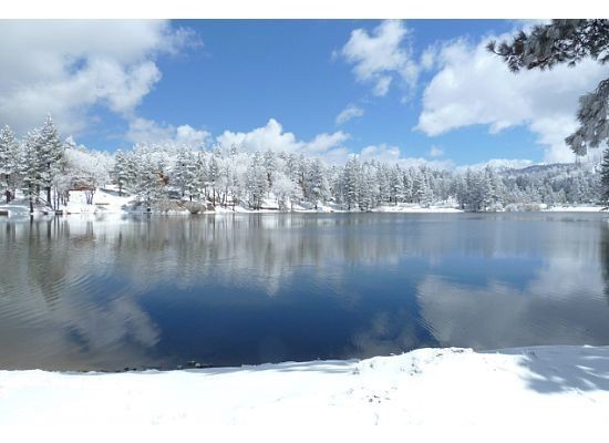 Detail Gallery Image 16 of 16 For 657 Oak Knoll Dr, Green Valley Lake,  CA 92341 - 3 Beds | 1/1 Baths