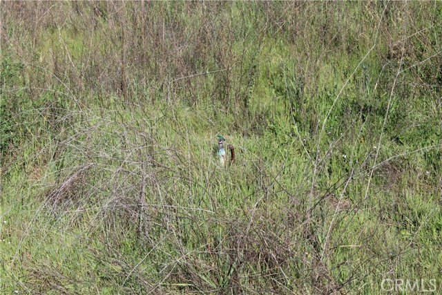 Detail Gallery Image 7 of 8 For 0 Yosemite Spring Pkwy, Coarsegold,  CA 93614 - – Beds | – Baths