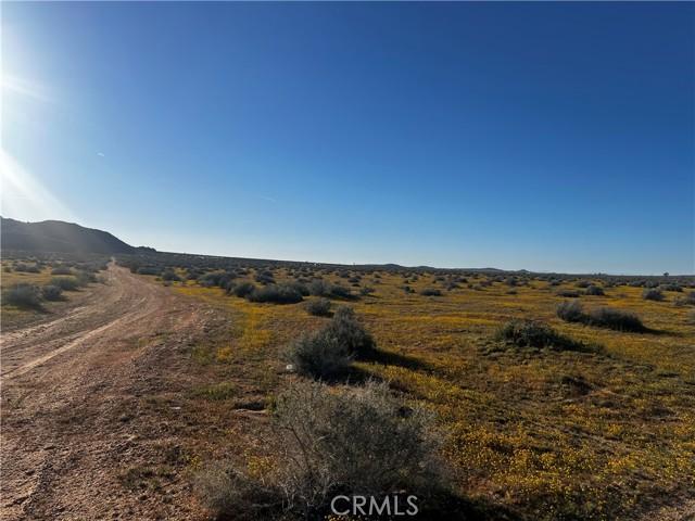 Detail Gallery Image 10 of 10 For 801 Adobe Mountain Rd, Adelanto,  CA 92301 - – Beds | – Baths