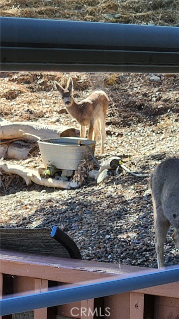 Detail Gallery Image 44 of 57 For 5180 Lone Pine Canyon, Wrightwood,  CA 92397 - 4 Beds | 2 Baths