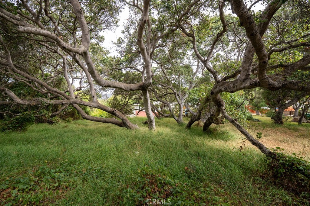 MLS #SC25145989 image #13