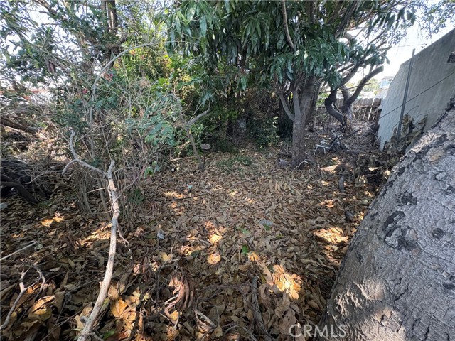 2391 Fashion Avenue, Long Beach CA: https://media.crmls.org/medias/e5a894ef-edda-42fd-a94b-774839175634.jpg